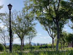 -永定河休闲森林公园