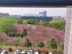 -南京医科大学(江宁校区)