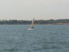 -丁香湖公园