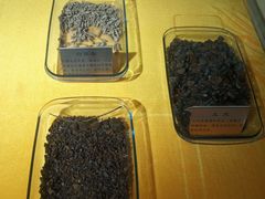 -上海昆虫博物馆