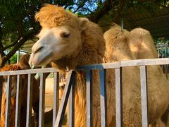 -泉州海丝野生动物世界