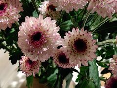 -春暖花开(西溪店)