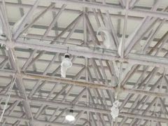 -绍兴启迪乔波冰雪世界