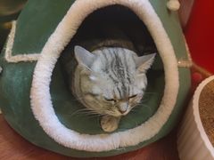 -H立方实景剧情密室(天河旗舰店)