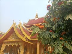 -西双版纳勐泐文化旅游区