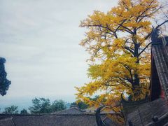 -金堂县云顶石城风景区