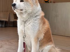 -YCHL Studios健身工作室(市二宫店)