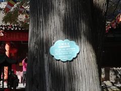 -少华山国家森林公园