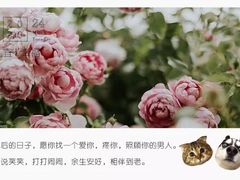 -BON CAKE(华贸购物中心店)