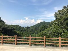 -广州市帽峰山景区