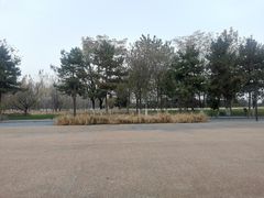 -汉长安城未央宫国家考古遗址公园