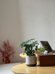 点击看大图 -归位瑜伽&普拉提馆