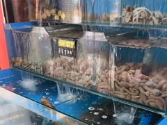 水产区-小郭私房菜·海肠捞饭店(学士街店)