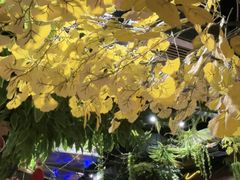 -城墙拐拐火锅(三峡广场黑金冠店)