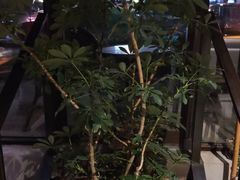 -竹里馆 ·茶食(奥体店)