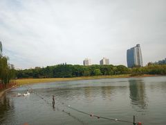 -黄兴公园