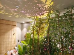 -施奈儿.洗头頭療.按摩SPA.采耳(上梅林店)