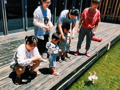 -田园东方蜜桃村的田野营地
