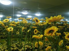 -天津梵高星空艺术馆(天河城旗舰店)