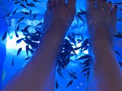 -汤连得温泉馆(宝山店)