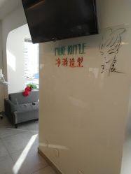 -净漪造型 PURE RIPPLE