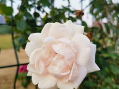 景点-西太湖揽月湾