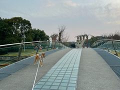 -上海月湖雕塑公园