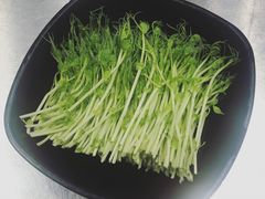 豆苗-水哥卜卜贝(东晓·胜汇里店)