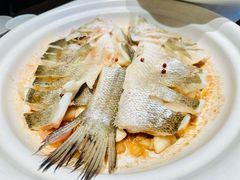 -单家老院·院子里的青岛菜(沙子口店)