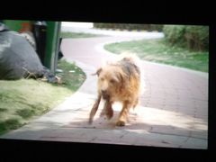 -金逸影城(明发IMAX店)