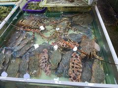 -拉威海鲜市场