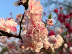 -蜀冈西峰生态公园