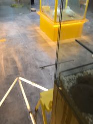 -神奇动物撸宠馆·羊驼·小浣熊·异宠(豫园店)