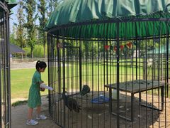 -前小桔亲子创意农场·草莓采摘·露营烧烤