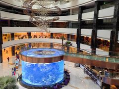 -OPEN開全日自助餐厅·牛肉火锅·海鲜(佛山希尔顿酒店)