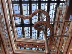 -巴黎春天(浦建店)