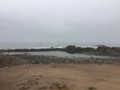 -海合安青岛极地海洋公园
