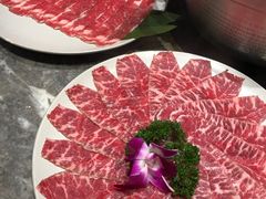 -禄婶鸡煲·打边炉
