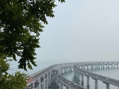 -星海湾跨海大桥