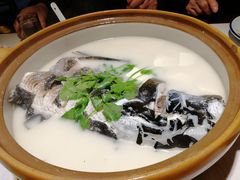 -千岛湖小鱼儿·淳安匠心农家菜