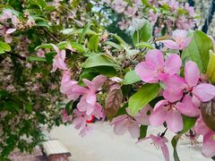 -元大都城垣遗址公园