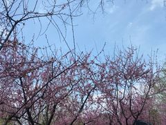 -堤角公园
