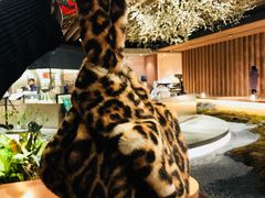 -Seesaw Coffee(朝阳大悦城店)