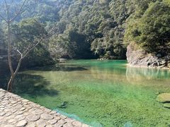 -龙湾潭国家森林公园