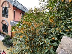 -杭州西湖风景名胜区-满觉陇四眼井