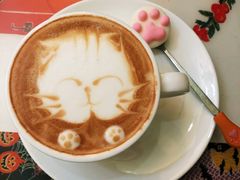 -猫色咖啡·猫咖