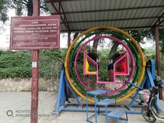 -东方巨龟苑景区