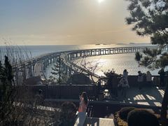-星海湾跨海大桥