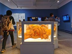 -湖北省美术院美术馆