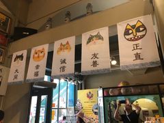 -猫咪博物馆(顶澳仔猫街店)